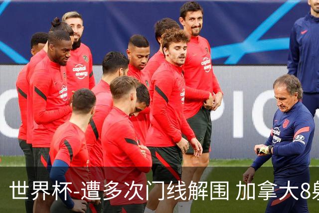 世界杯-遭多次门线解围 加拿大8射4正半场暂0-0南非