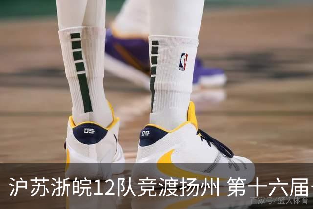 沪苏浙皖12队竞渡扬州 第十六届长三角龙舟赛擂鼓开桨